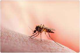 Malaria: A Global Health Challenge