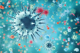 Norovirus Outbreaks Surge Across the U.S.: CDC Reports a Sharp Winter Rise