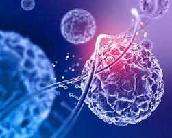 Cancer Diagnosis Gets Faster: Agilus Launches 3-Hour Genetic Mutation Test System in Mumbai
